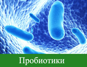 пробиотики лактобактерии