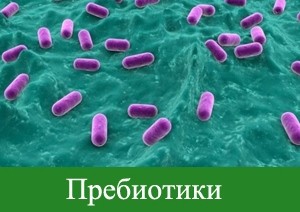 пребиотики восстановление микрофлоры