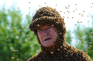 пчёлы облепили человека