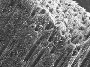 фото как выглядит поверхность активированного угля под микроскопом
