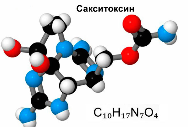 структурная и химическая формула сакситоксина